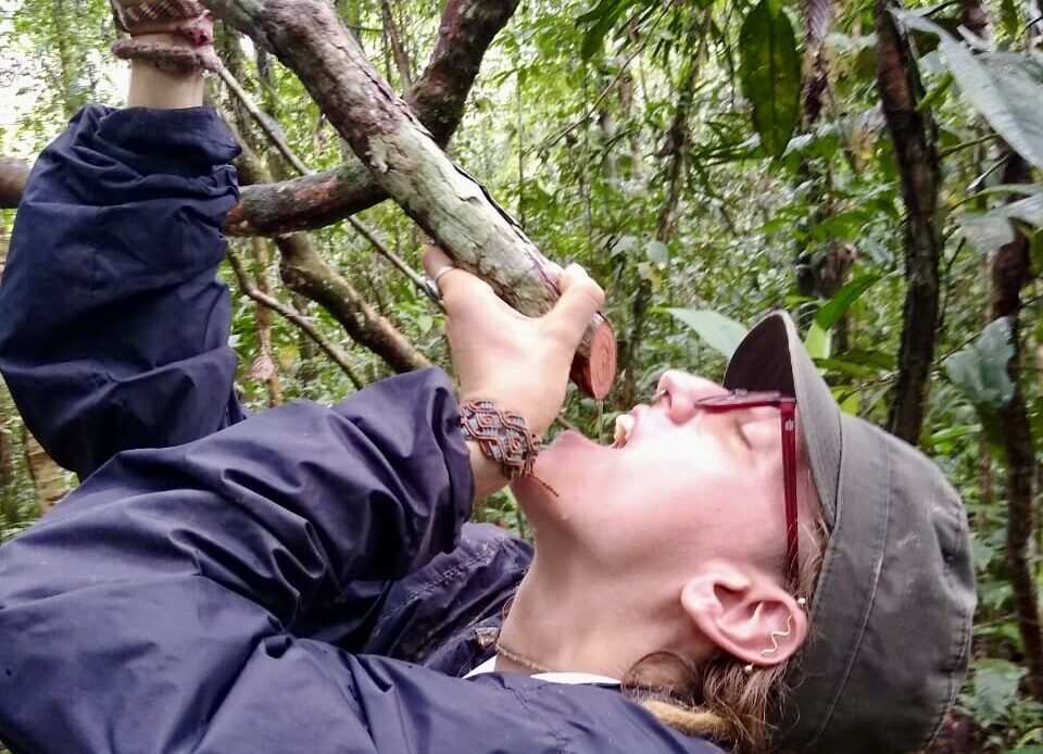 SENDERO INTERPRETATIVO EN LA SELVA